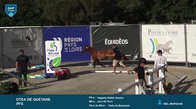 GRAND REGIONAL FPPL - 2026-06-20