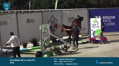 GRAND REGIONAL FPPL - 2026-06-20
