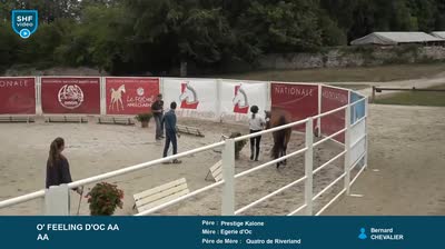 Grand R&eacute;gional Qualificatif  1 - 2 et 3  - 2026-07-30
