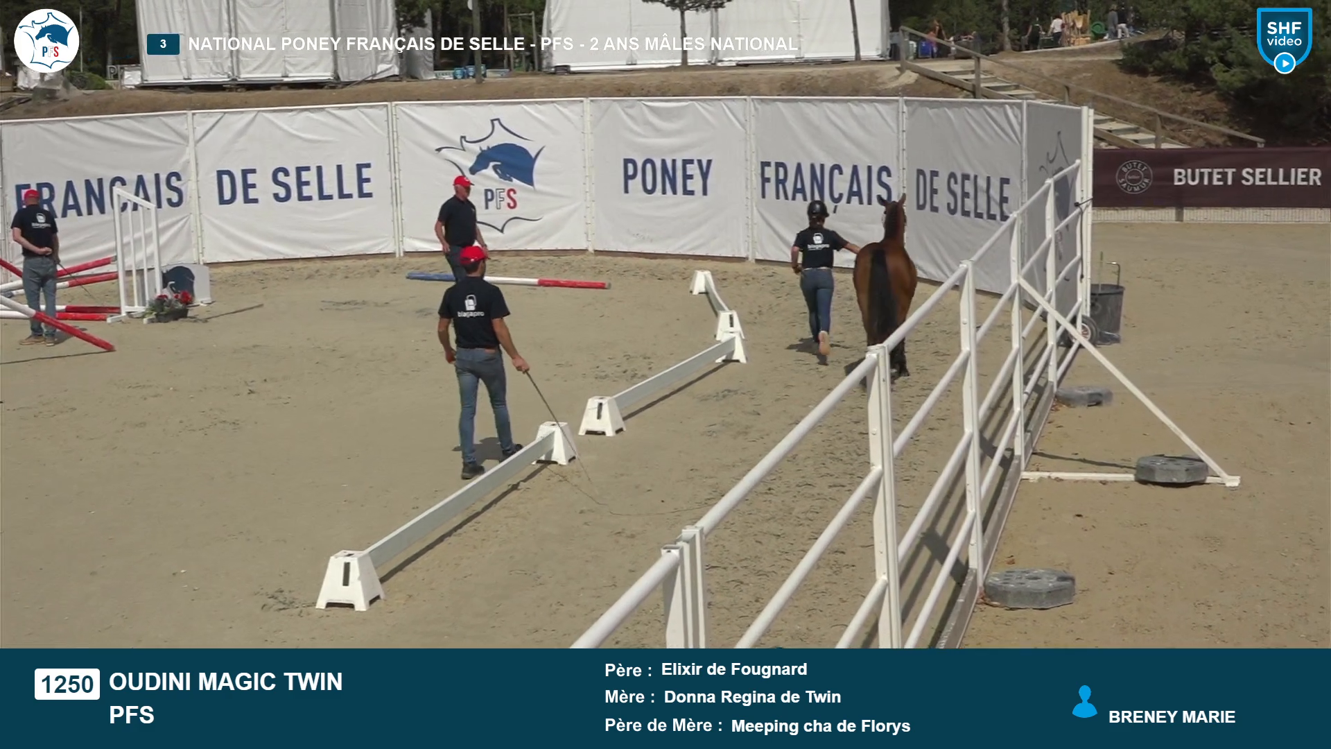 National Poney Fran&ccedil;ais de Selle - 2026-08-20