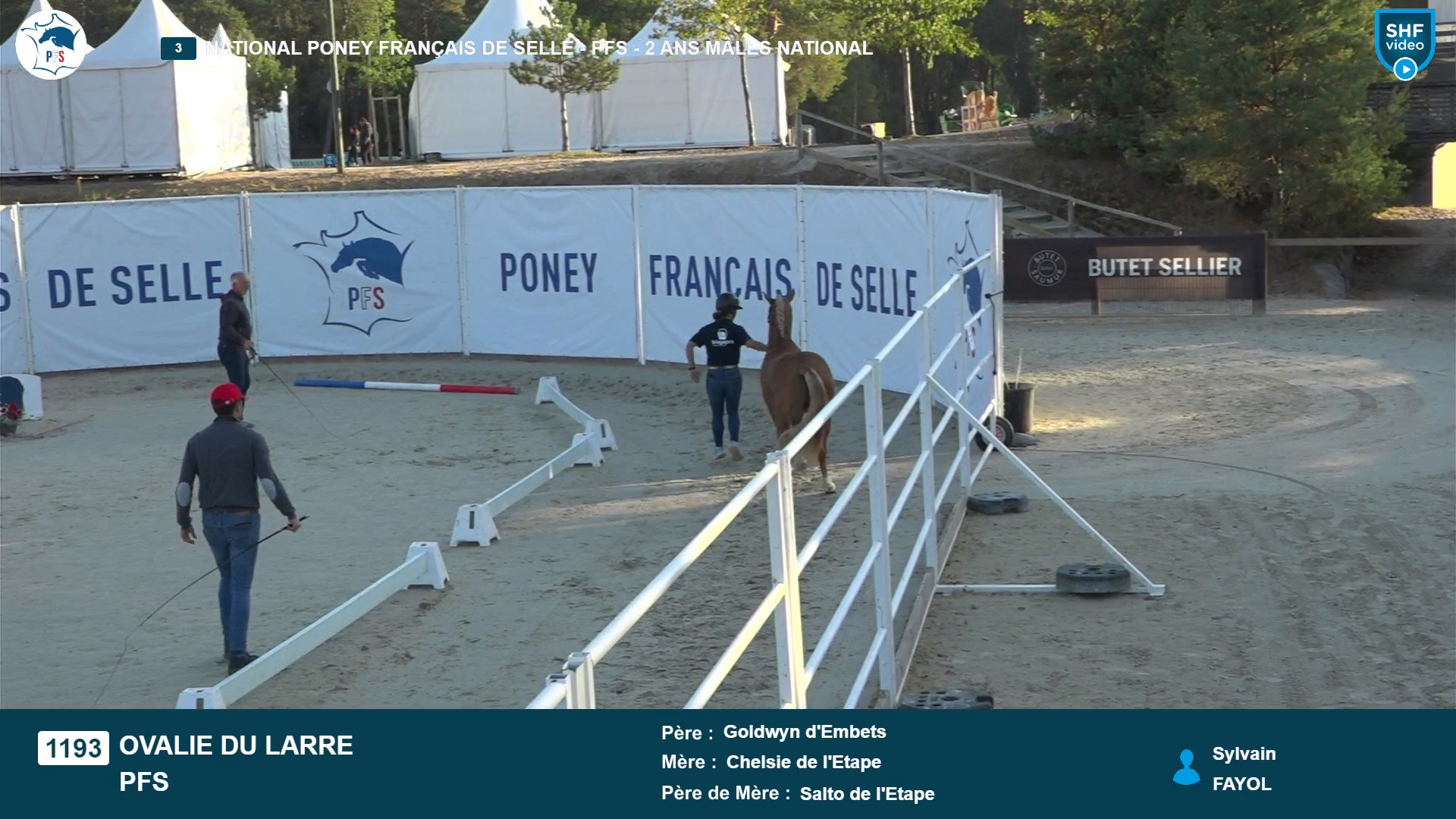 National Poney Fran&ccedil;ais de Selle - 2026-08-20