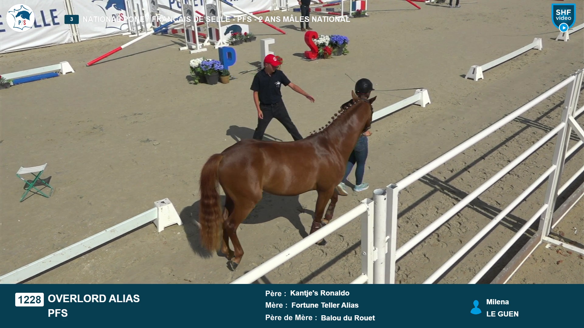 National Poney Fran&ccedil;ais de Selle - 2026-08-20