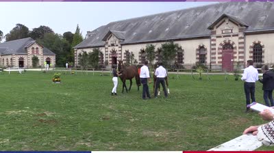 CHAMPIONNAT DE FRANCE DES FOALS SELLE FR - 2025-09-19