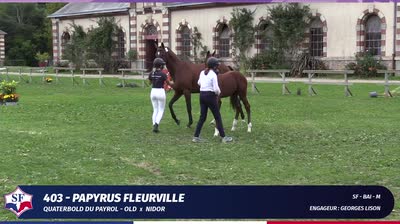 CHAMPIONNAT DE FRANCE DES FOALS SELLE FR - 2025-09-19