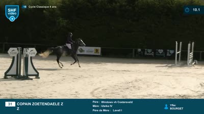 Miniature vidéo