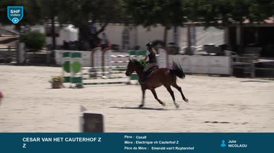 NIMES CENTAURE ELEVAGE - 2026-06-17