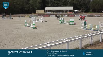 Miniature vidéo