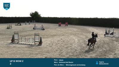 Miniature vidéo