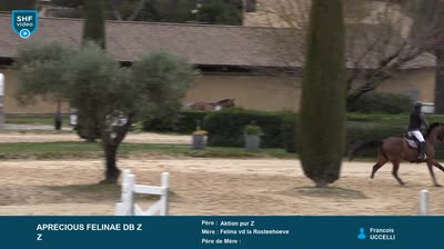 Miniature vidéo