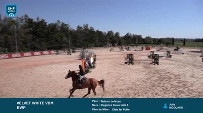 Miniature vidéo