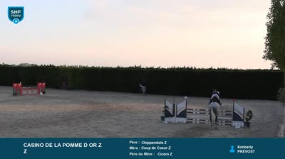 Miniature vidéo